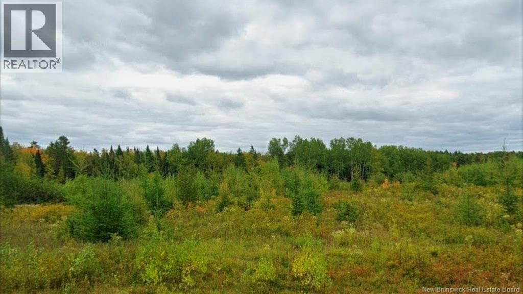 LOT NORTH BLACK RIVER ROAD in