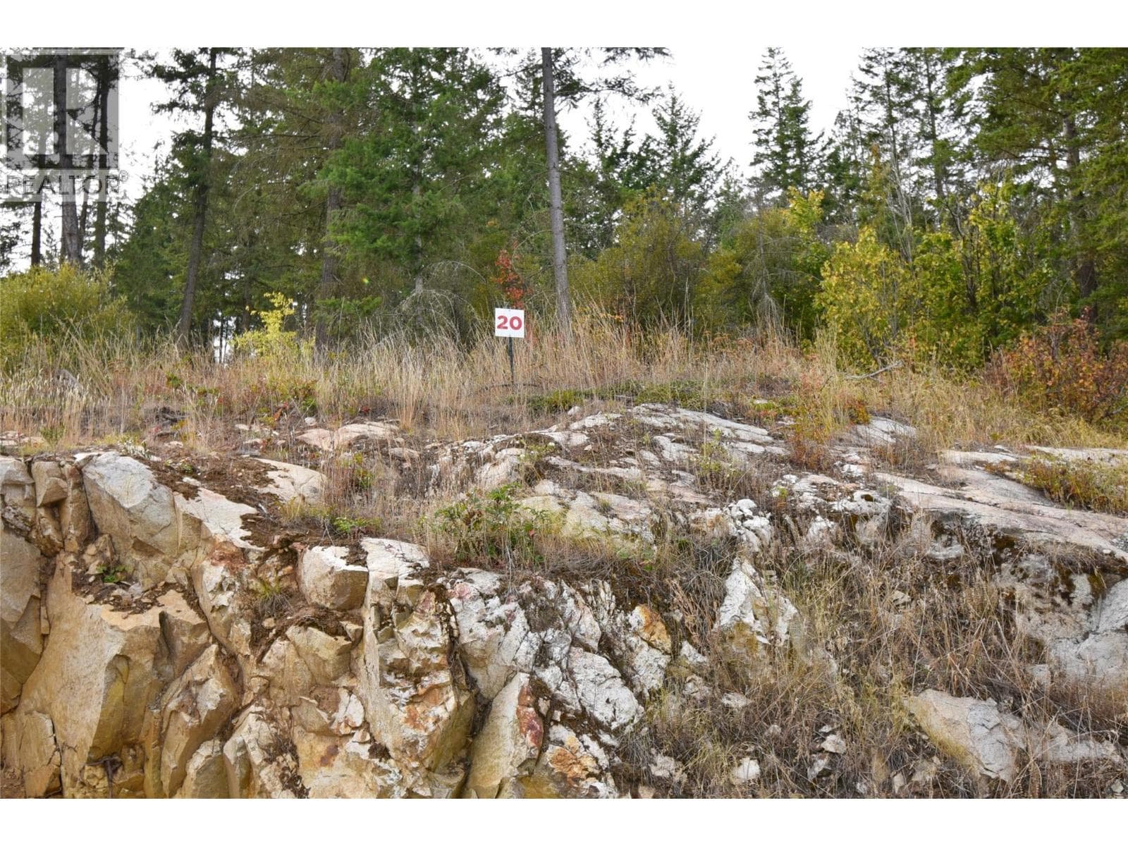 236 Crooked Pine Road in