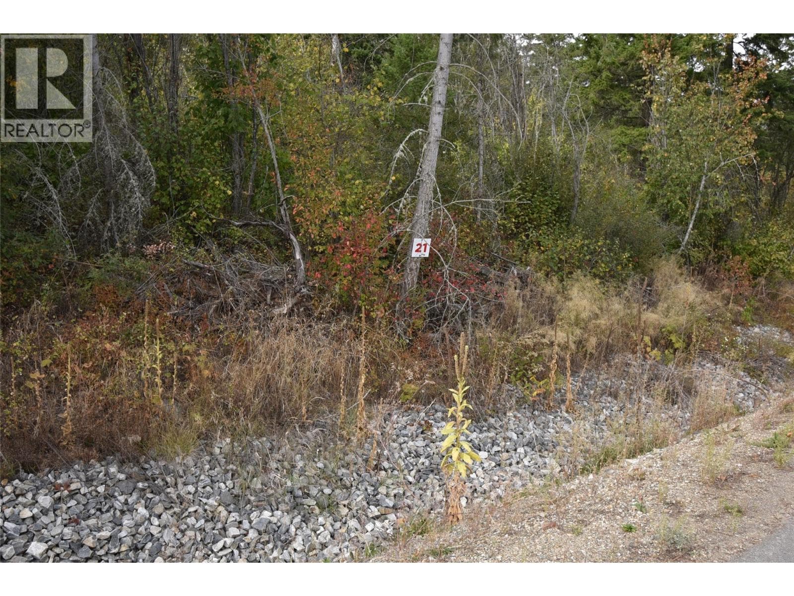 222 Crooked Pine Road in