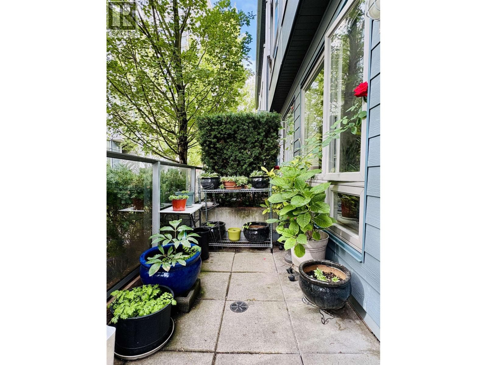 4886 ELDORADO MEWS in Renfrew-Collingwood