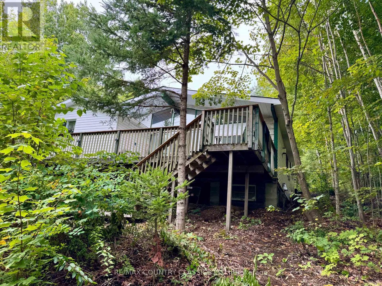 256 ELGIN ROAD in
