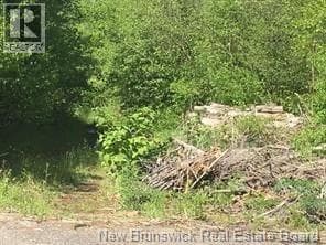 234 FLANAGAN ROAD in