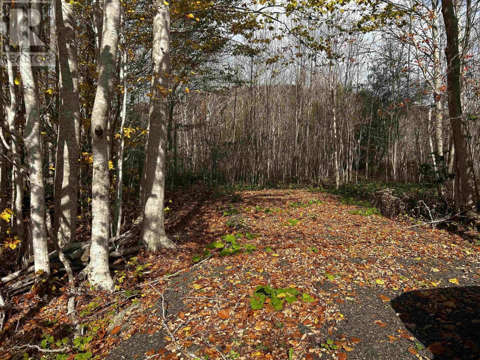 Lot Granville Road in