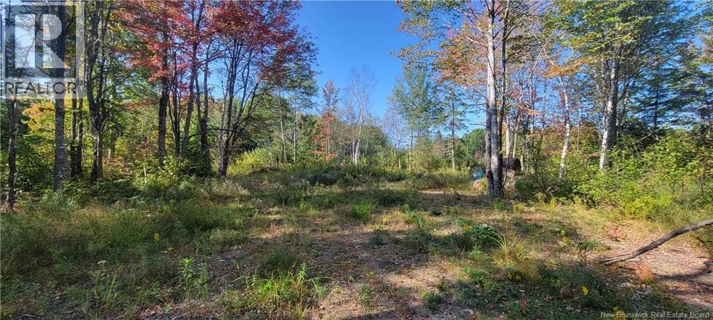 LOT Meadow Brook Road in