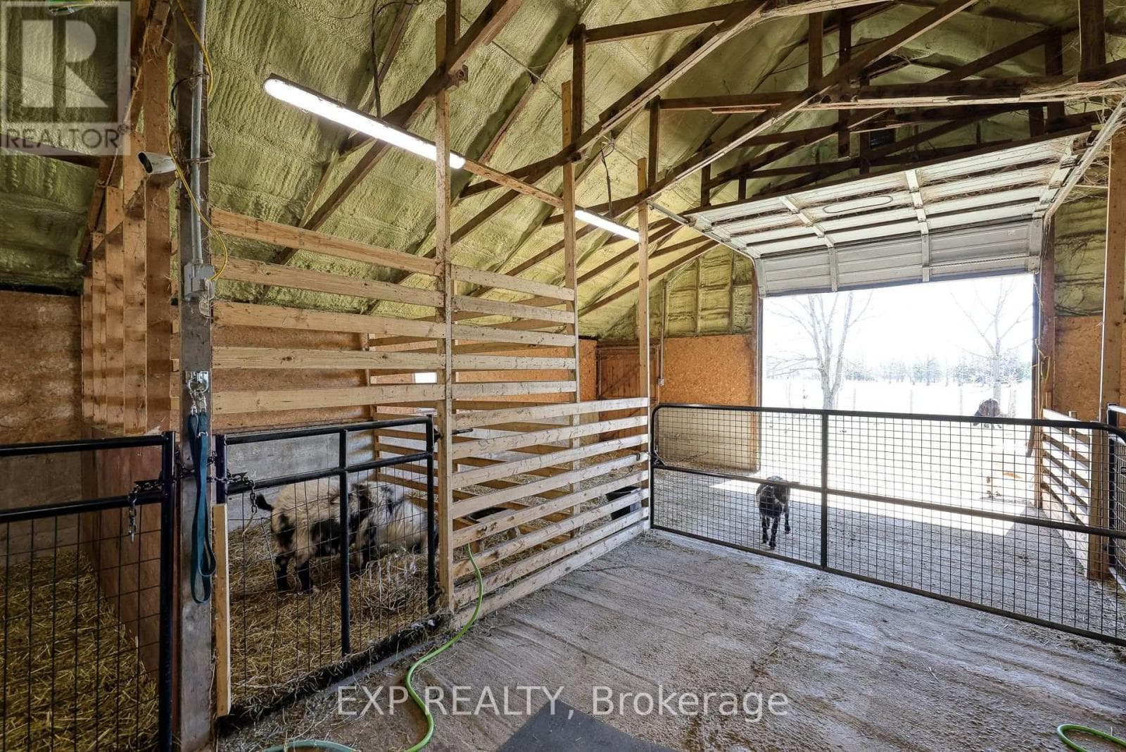 3892 LEWIS ROAD in