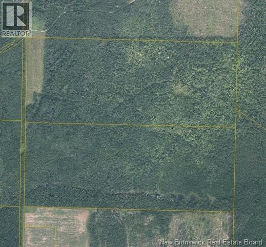 200 Acres Walker Road in