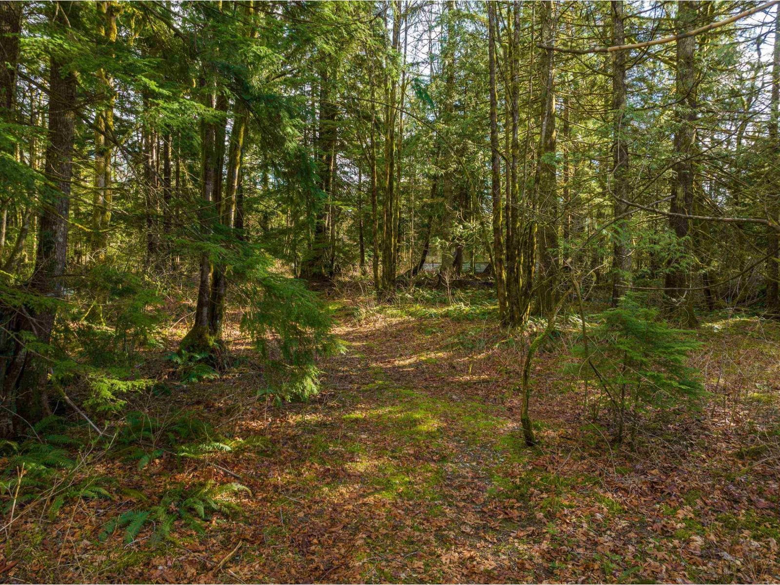 36161 RIDGEVIEW ROAD in