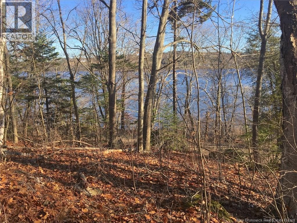 NORTON SHORE ROAD in