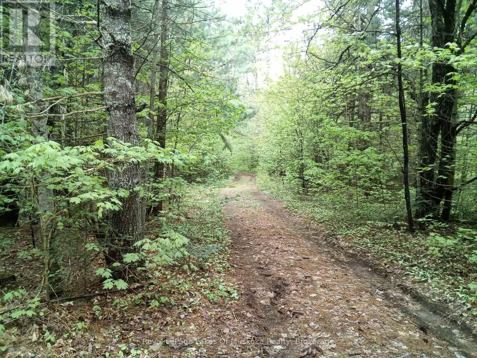 1590 YEARLEY ROAD in