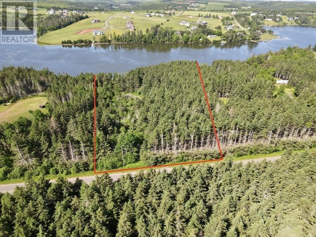 Trout River Road in