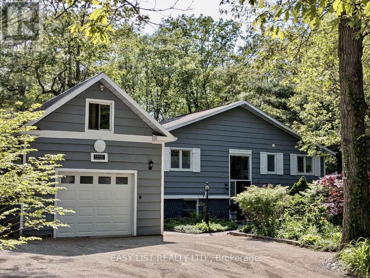 10161 ANDREA STREET in