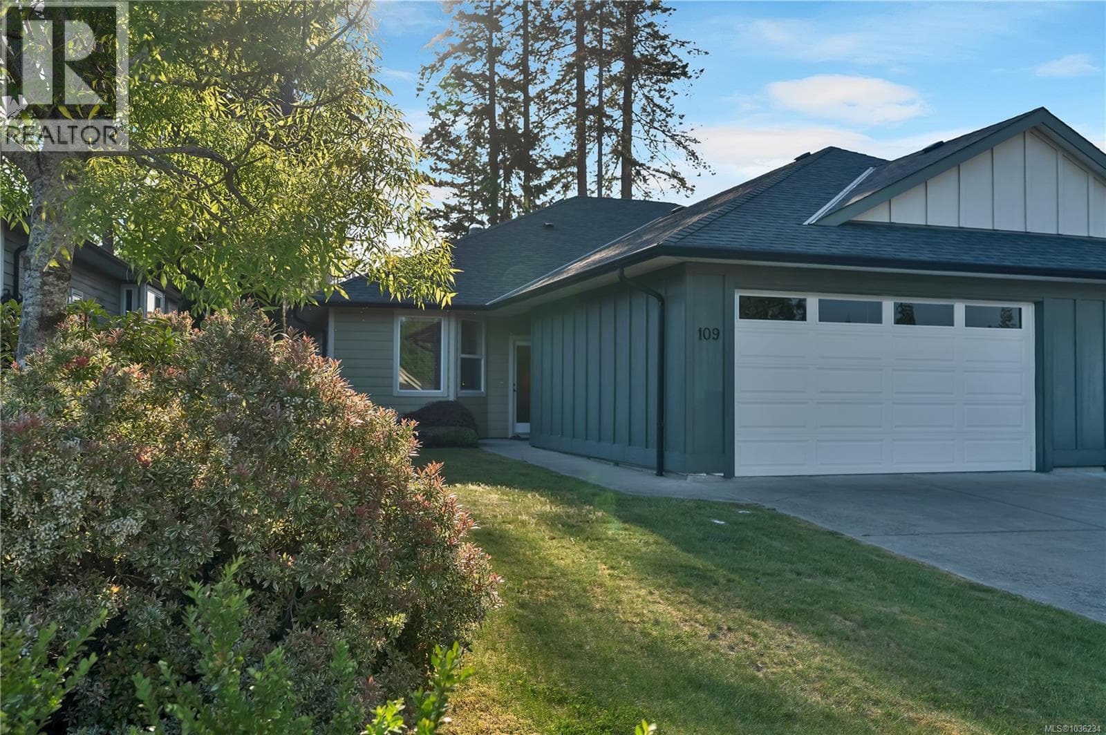 109 2006 Sierra Dr in
