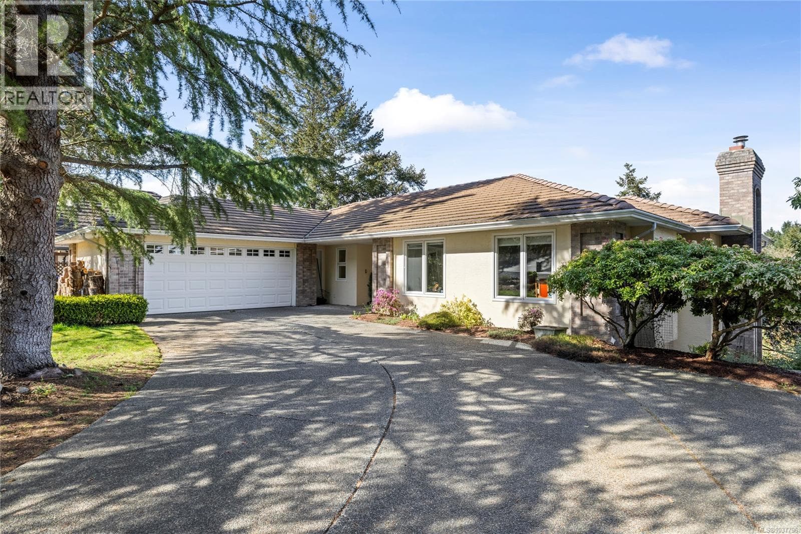 3541 Shelby Lane in
