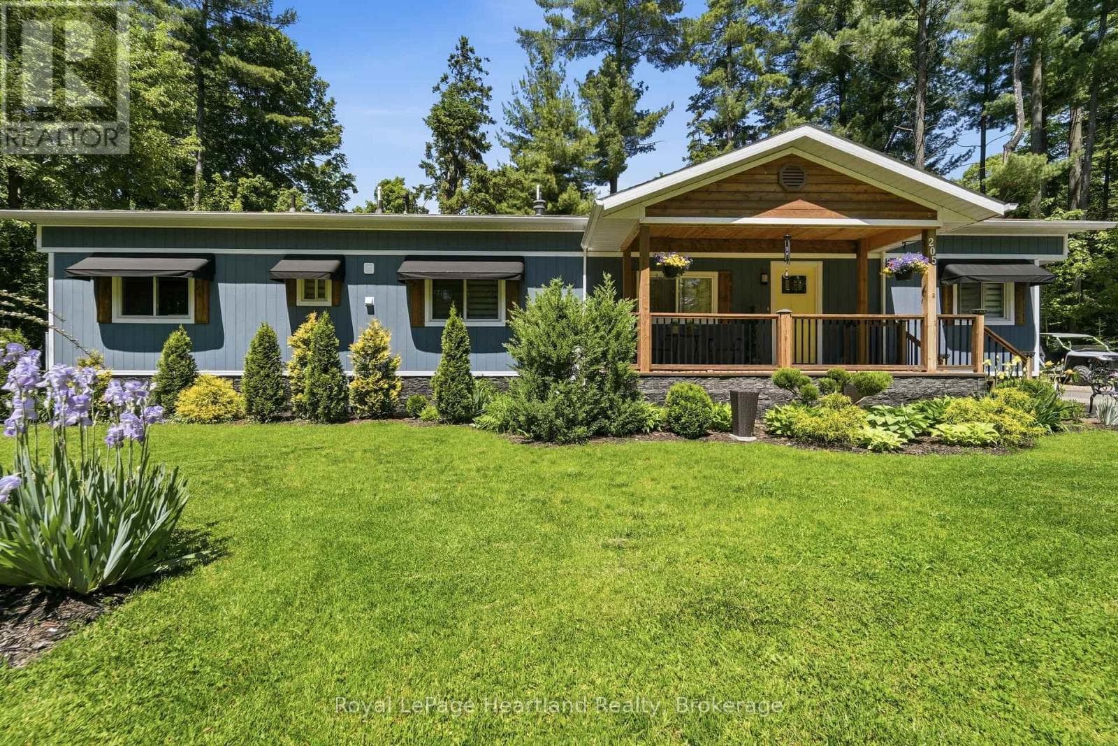 205 CHESTNUT DRIVE in